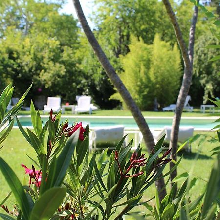L'Islo Bamboo Daire Saumane-de-Vaucluse Dış mekan fotoğraf