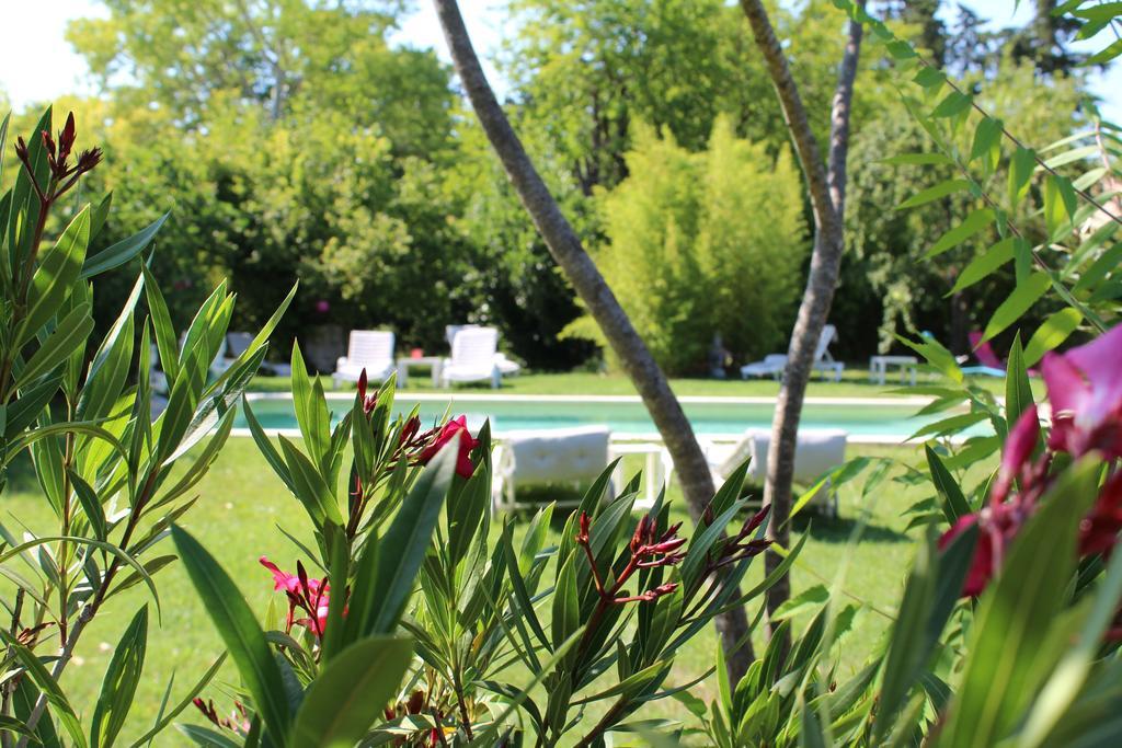 L'Islo Bamboo Daire Saumane-de-Vaucluse Dış mekan fotoğraf